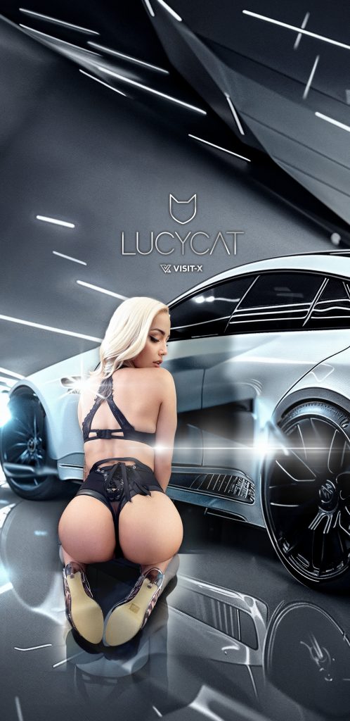 lucycat wallpaper24 mobile v11